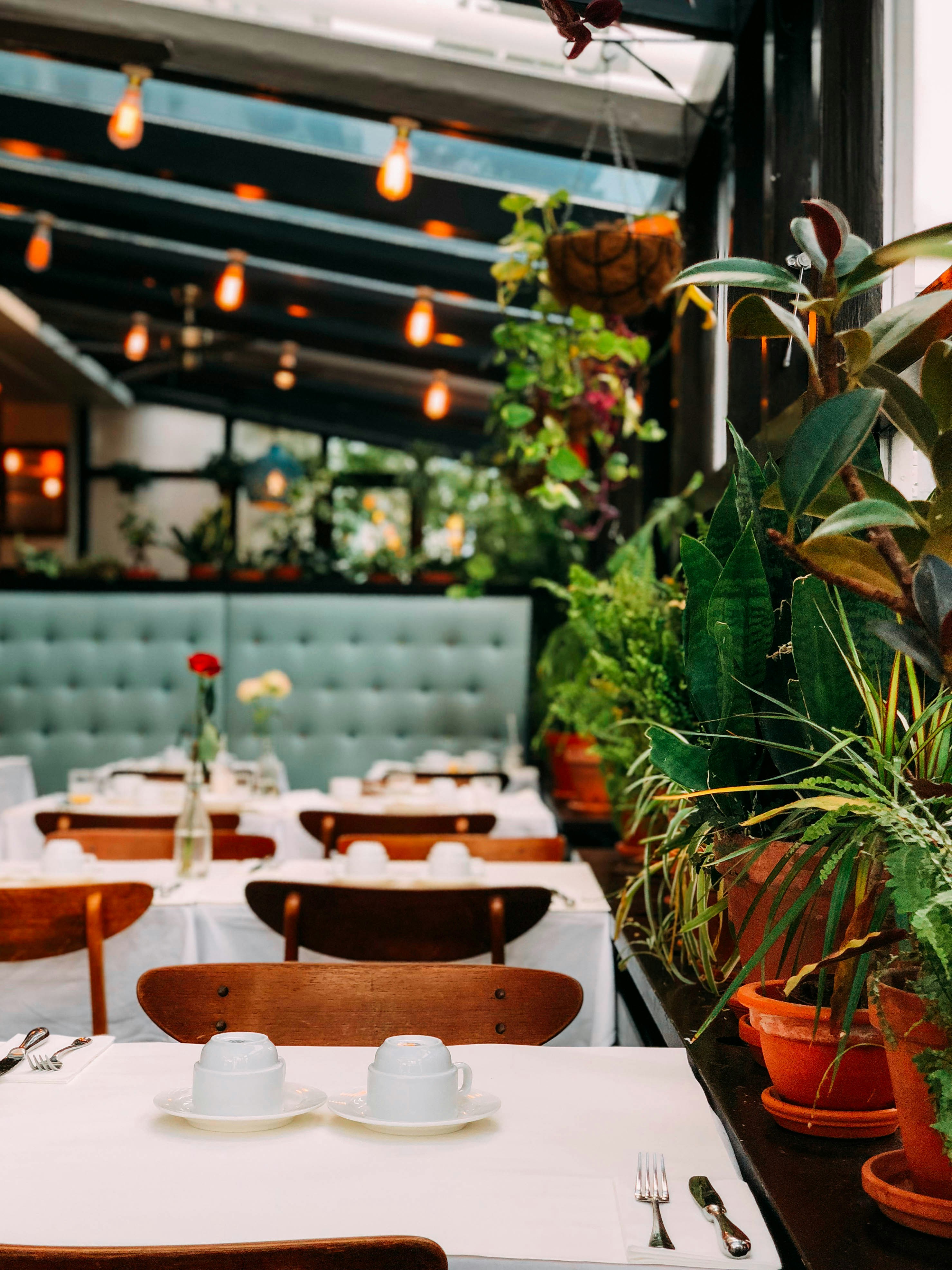 Restaurant chatbot preview